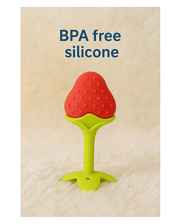 KIDS BASIC Bpa Free 100 % Silicone Fruit Shape Teether And Fruit Feeder