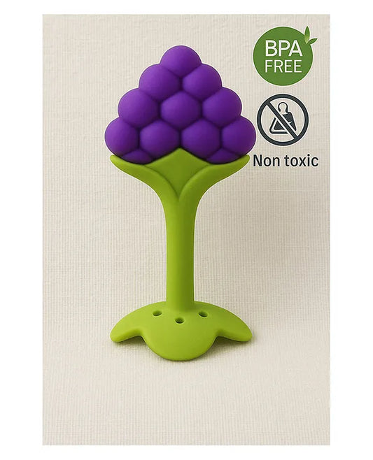 KIDS BASIC Bpa Free 100 % Silicone Fruit Shape Teether And Fruit Feeder