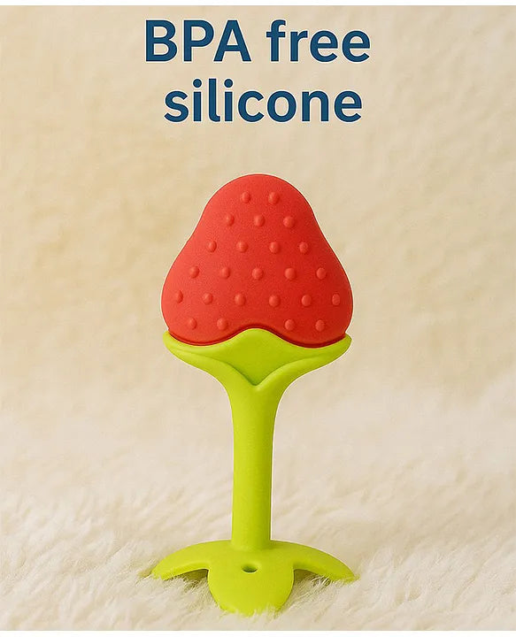 KIDS BASIC Presents combo of 2 includes 1 Standing Fruit Teether and 1 Mickey Fruit Feeder