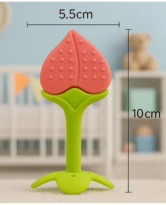 KIDS BASIC Presents combo of 2 includes 1 Standing Fruit Teether and 1 Mickey Fruit Feeder