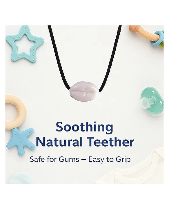 KIDS BASIC presents Tilsmi Moti & BPA Free Pacifier With clip